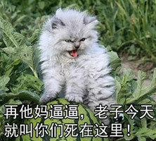 ����������׺ݶ�ͼ�����