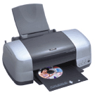 Epson Stylus Photo 900��ӡ������