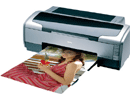 Epson Stylus Photo R1800��ӡ������