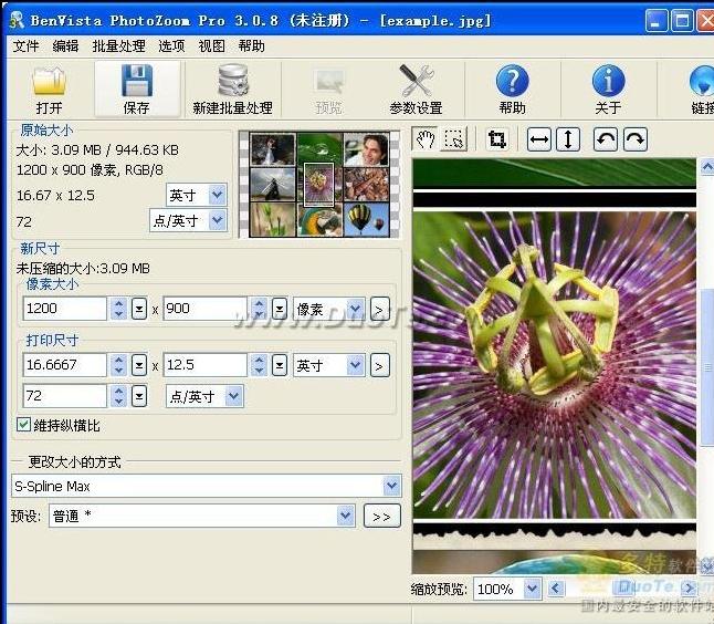 BenVista PhotoZoom Pro