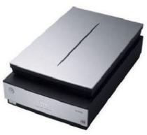 ������Epson GT-X970����