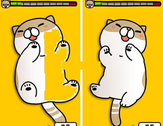 ����è��׿��