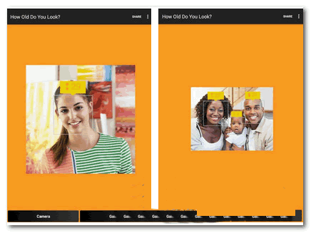 测龄神器安卓版