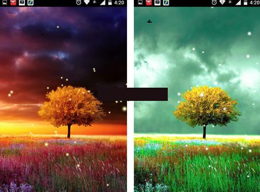 ��Ȼ��⶯̬��ֽAPP