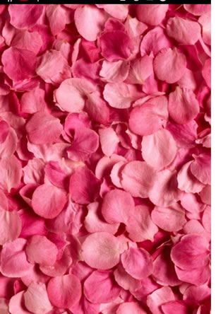 ��׿����3D��̬��ֽ