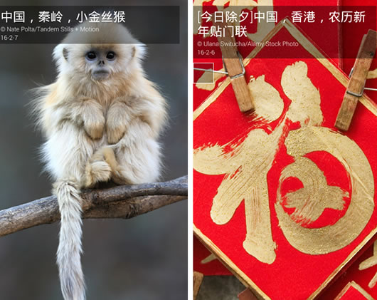 ÿ��ͼƬ��ֽ��׿��