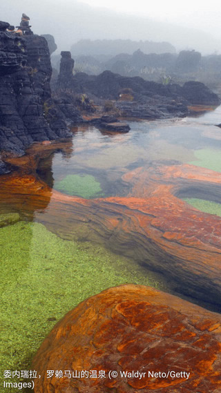 ÿ����ͼ��׿��