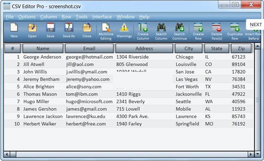 CSV�ļ��༭���� CSV Editor