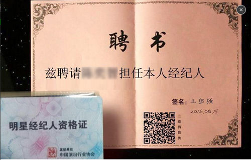 ����ǿ������Ƹ����������׿��