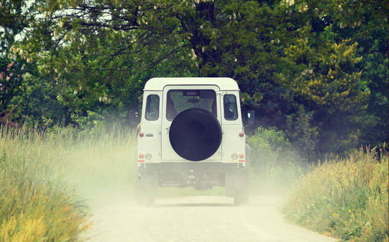 �ݴԼ��ճ���ï��������Ӱ����ͼƬ�ز�