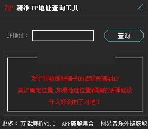 ��׼IP��ַ��ѯ����