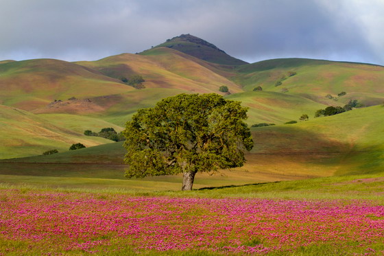 ��ԭ�ϵĻ�԰�ʹ�����ӰͼƬ�ز�