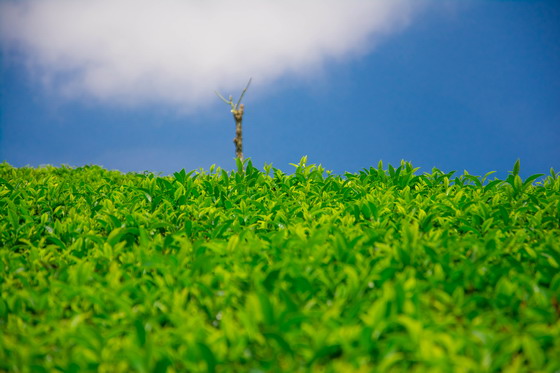 ������Ʋ�԰һ����д��Ӱ����ͼƬ�ز�