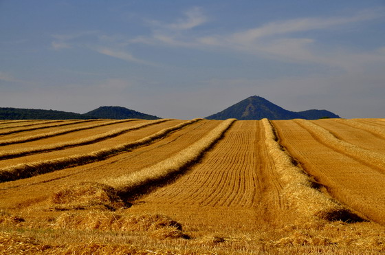 Զ����ɽ�����ո����������ͼƬ�ز�