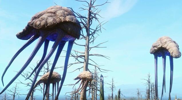 �Ϲž���5������ư������侳�Ĺ���MOD