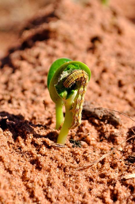 ϣ���ȷ�����������������ͼƬ�ز�