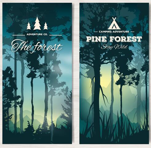 ��������ɭ�ֺ�����ʸ���ز�