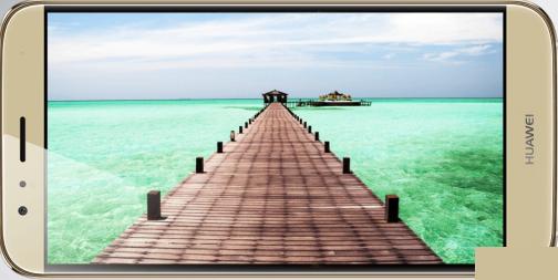 ��Ϊ��â4�ֻ�usb����