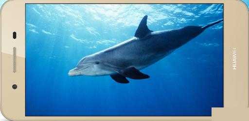 ��Ϊ����5s�ֻ�����