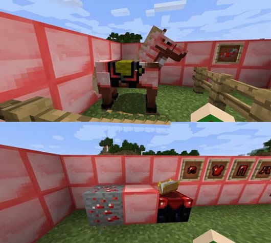 �ҵ�����Red Diamond������ʰ�