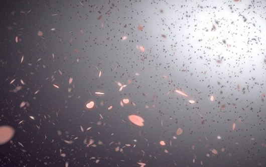 Wallpaper����3D�������ֽ