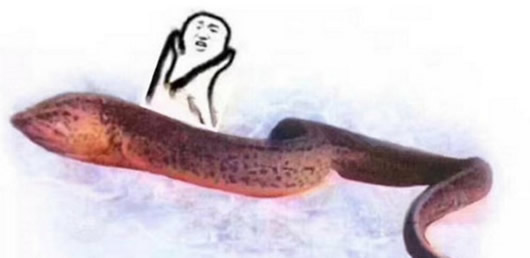 黄鳝qq表情包滑稽高清版
