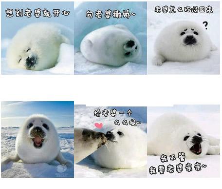 С����qq���������ˮӡ