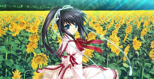 Rewrite ȫCG��ִ浵