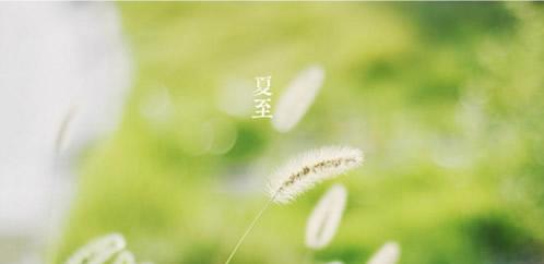 2017ʮ��������������ͼ