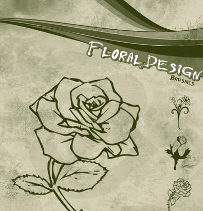 photoshopõ�廨���ˢ���