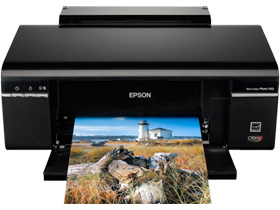 ������Epson P50 ��ӡ������