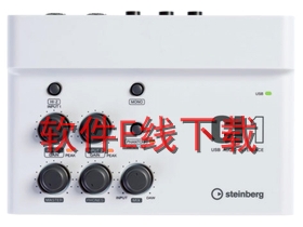 ������YAMAHA Steinberg CI1 ��������