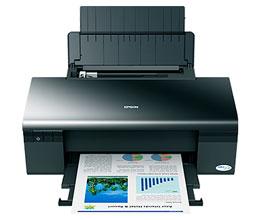 Epson Stylus C110��ӡ������