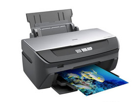 Epson Stylus Photo R270��ӡ������