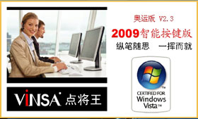 VINSA��д������