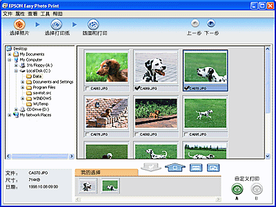 Epson Easy Print Module