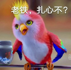 ���Ǵ�������GIF�����