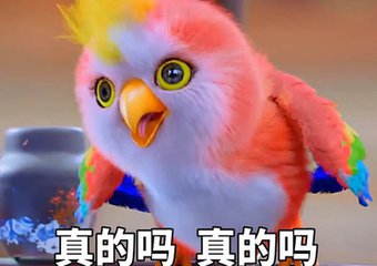 ���Ǵ����īh����qq����