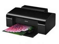 ������Epson Stylus DX6000 ��ӡ������