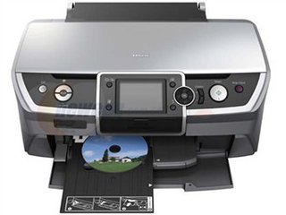 Epson Stylus Photo R390��ӡ������